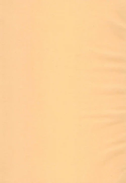 Page 3 of Venti-kun to Issho!