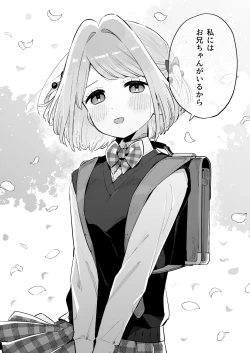 Page 45 of Gomen ne, Watashi ni wa Onii-chan ga Iru Kara