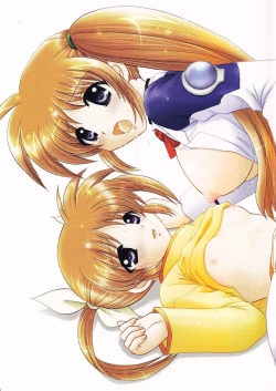 Page 20 of Nanoha no Zettai Zetsumei S SPECIAL