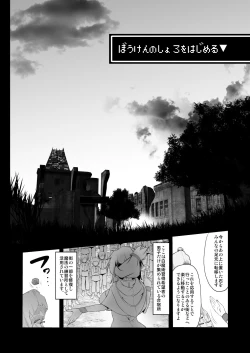 Page 42 of Bouken no Sho Series Soushuuhen - The Adventurer's Book has Perfect. Vol. 2