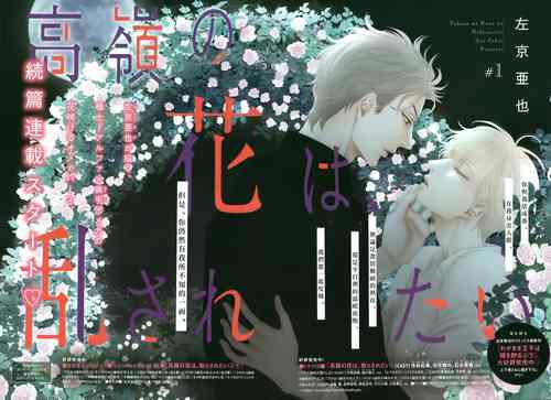 Download Takane no Hana wa, Midasaretai | 高嶺之花、意乱情迷 01-08