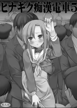 Page 2 of Hinagiku Chikan Densha 5