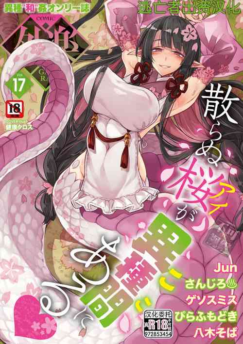 COMIC GAIRA Vol. 17 [Chinese] [逃亡者×真不可视汉化组]