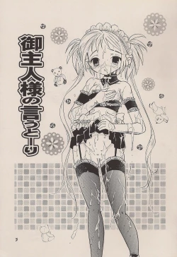 Page 2 of Goshujin-sama no Iu Toori