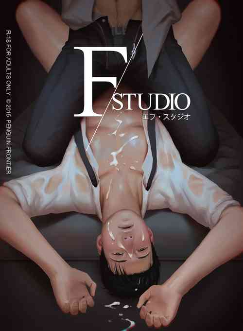 Download F/Studio