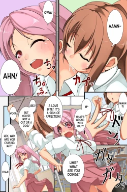Page 17 of Mesu Inu Harem