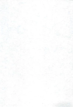 Page 3 of Asashiomusume Yasen Enshuu