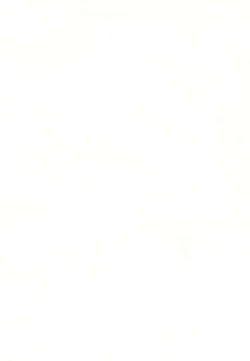 Page 4 of Soko ni Ai wa aru no? 3