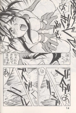 Page 13 of Shuw Da Issen