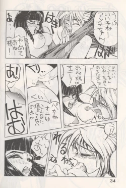 Page 33 of Shuw Da Issen