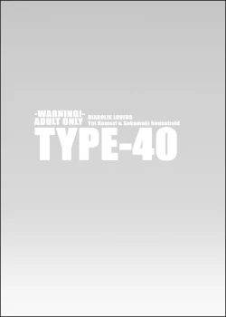 Page 25 of TYPE-40