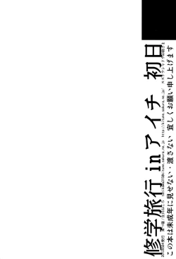 Page 28 of Shuugakuryokou in Aichi Shonichi
