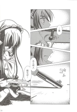 Page 24 of SS 3 Edelweiss