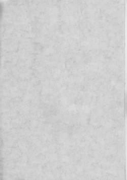 Page 2 of Josou Ryokou