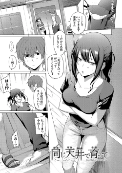 Page 115 of Akogare Kogare