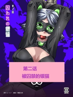 Page 28 of 怪盗シルバーキャット漫画版 全話【中国翻訳】