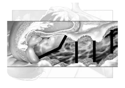 Page 96 of Kousai Bare, Koubu Zaseki de Netorare Choukyou