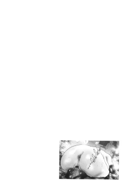 Page 187 of Sei Shoudou