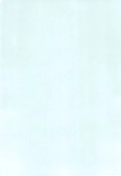 Page 4 of PPG FLASH!