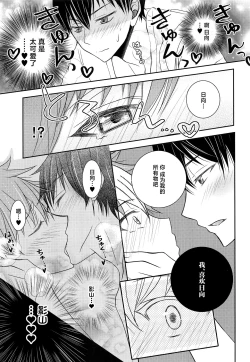 Page 14 of Hinata to Koi ni Ochiru Made—