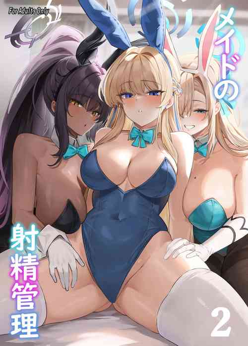 Download Maid no Shasei Kanri 5～7