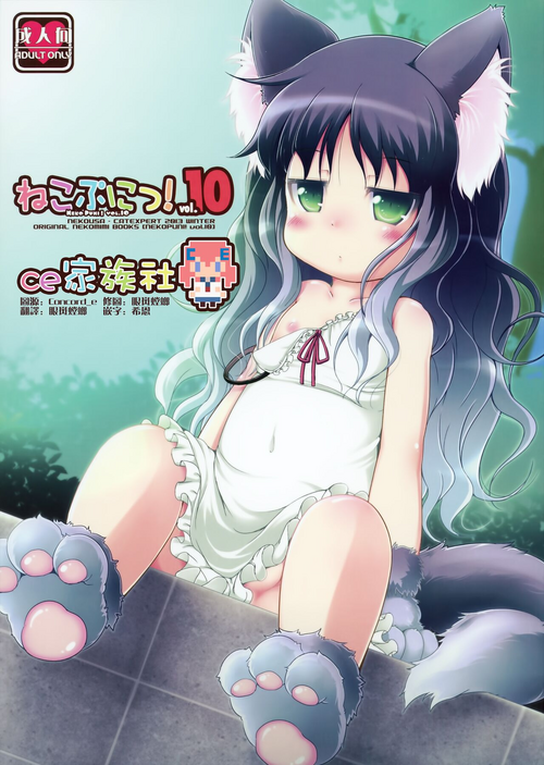 (C85) [Cat Expert (Nekousa)] Neko Puni! vol.10 [Chinese] [CE家族社]