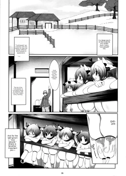 Page 5 of Prime Study