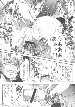 Page 19 of Ingyaku no Hirenka