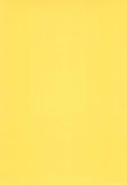 Page 38 of Fun House 11th SNAP SHOT