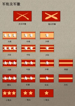 Page 20 of 相模学院整合