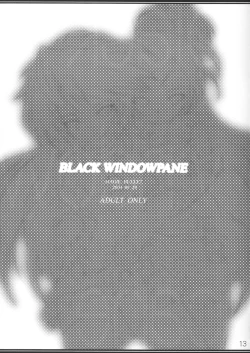 Page 12 of BLACK WINDOWPANE