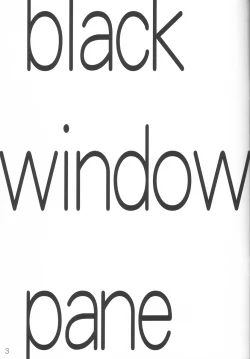 Page 2 of BLACK WINDOWPANE