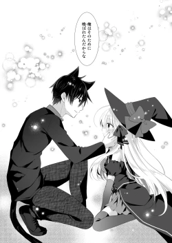 Page 15 of ポンコツ魔女とイジワルな猫。