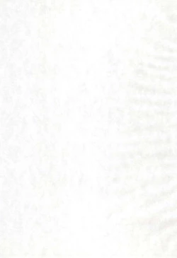 Page 45 of Reijou Shigan 2