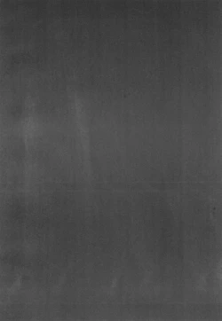 Page 6 of Last Rose I will be together