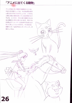 Page 28 of 20th Anniversary Essay & Artbook