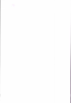 Page 4 of 20th Anniversary Essay & Artbook