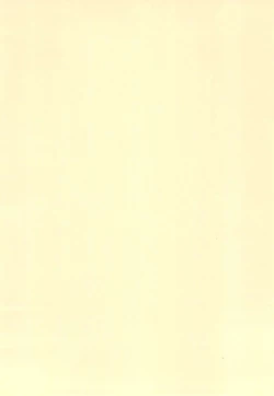 Page 4 of Digimon-bon