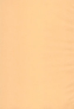 Page 3 of Yappa Asuka da yo naa