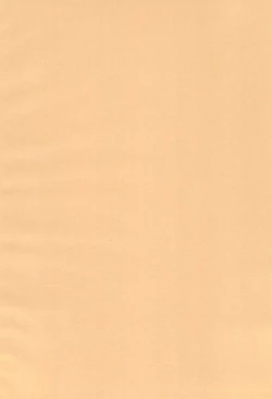 Page 4 of Yappa Asuka da yo naa