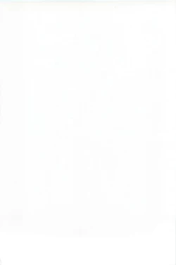 Page 2 of C88会場限定本 電マをもって凛ちゃん精す