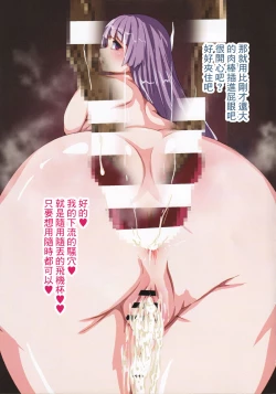 Page 11 of パチュリードール