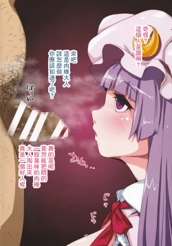 Page 4 of パチュリードール