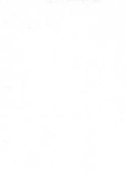 Page 4 of Aniero Mix. 009