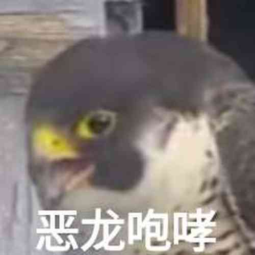 Download 宇智波鼬x漩涡鸣人