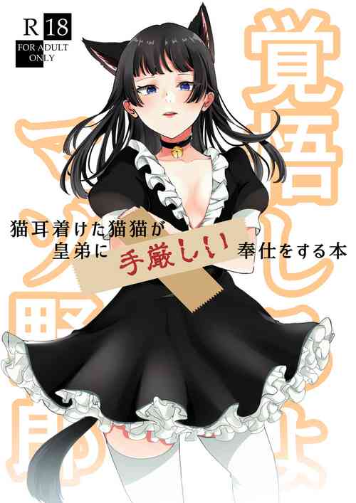 [meteor craft (Salad Nozomi)] Nekomimi chaku keta neko neko ga nou otoni tekibishii houshi wo suru hon (Kusuriya no Hitorigoto)