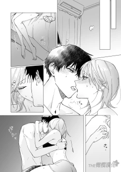 Page 19 of daisukina enkyori kareshi no onaho ni naritai｜太喜欢异地恋男友了，所以想成为他的飞机杯