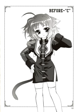 Page 11 of Mahou Shoujo Magical SEED DESTINY