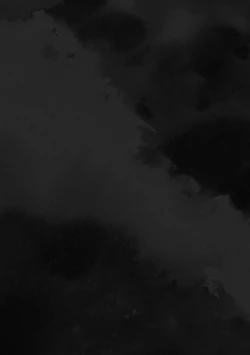 Page 45 of Insect Research Institute 2