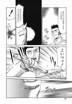 Page 14 of Kamen no Kishi Orleana Zenpen